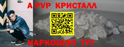 индика Беслан