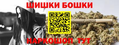 индика Беслан