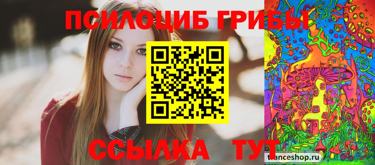 Псилоцибиновые грибы Cubensis  Вход с VPN  Галлюциногенные грибы прущие грибы  Каспийск 