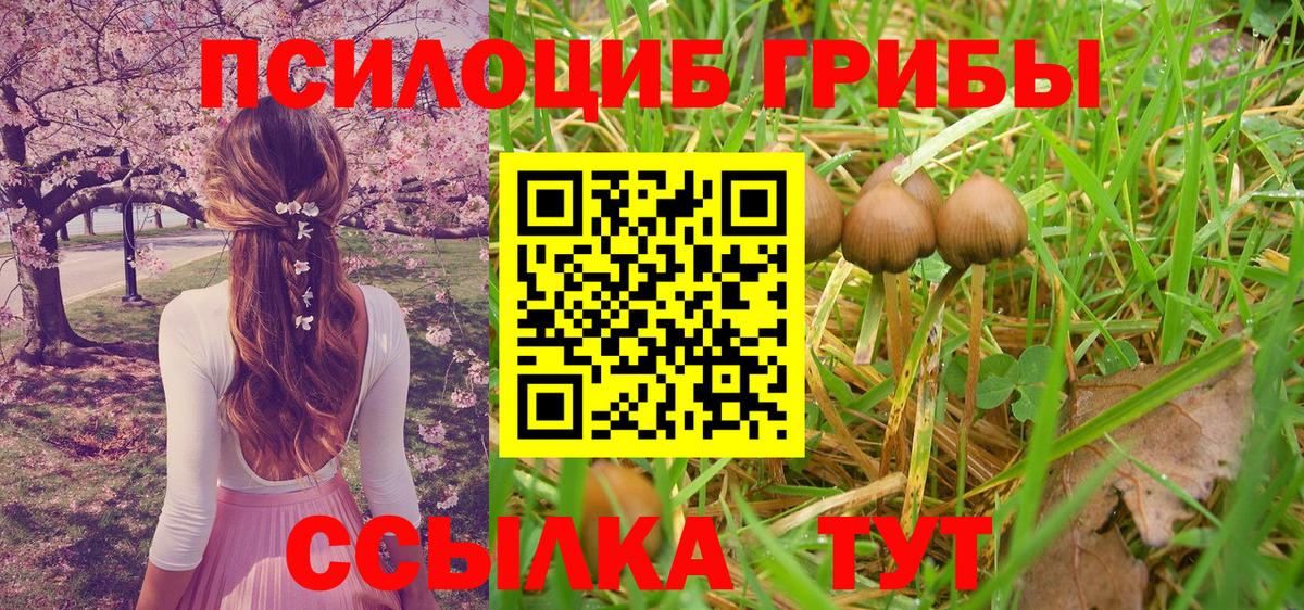 Галлюциногенные грибы Magic Shrooms Каспийск